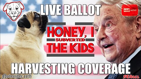 HONEY, I SUBVERTED THE KIDS | LIVE BALLOT HARVESTING COVERAGE! FE CATHOLIC SHOW! 162