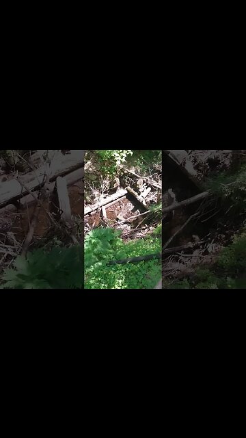 #waterfall #nationalpark #USA #puremichigan #northernmichigan #shortsvideo #tiktok #kidrock #shorts