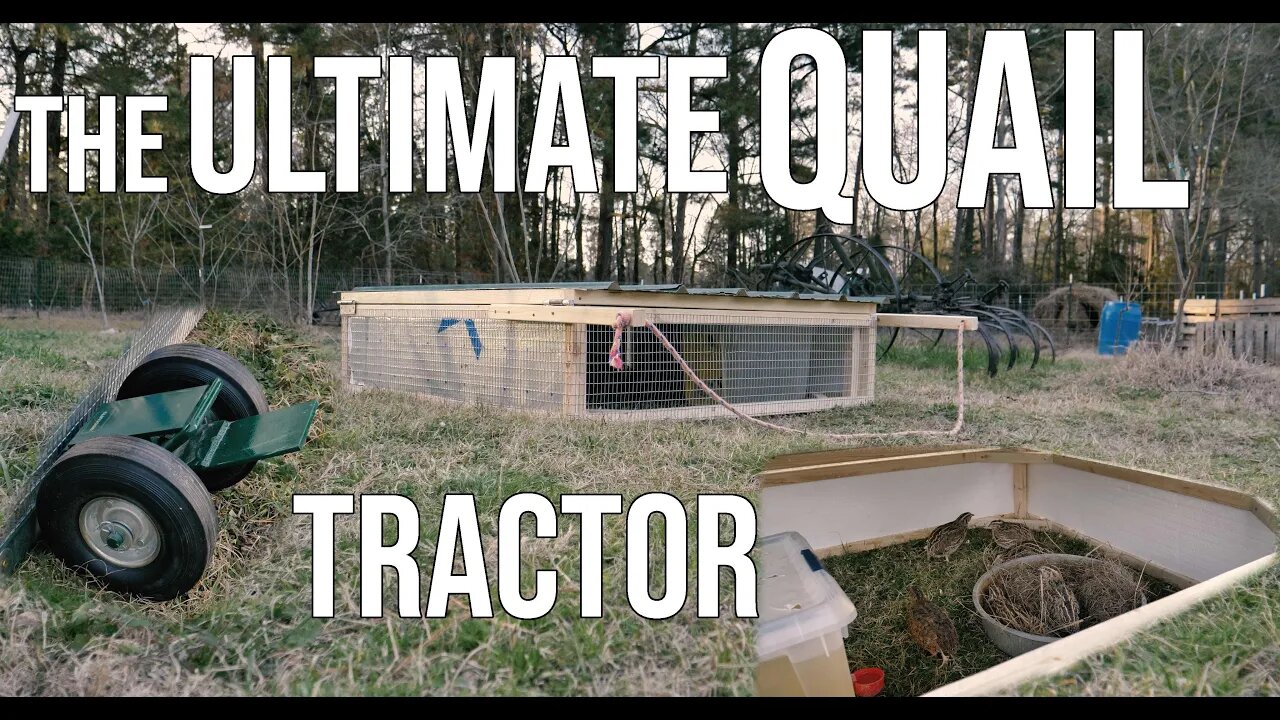 The Ultimate Quail Tractor!/ Building With Rufus