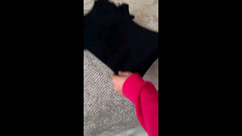 funny videos