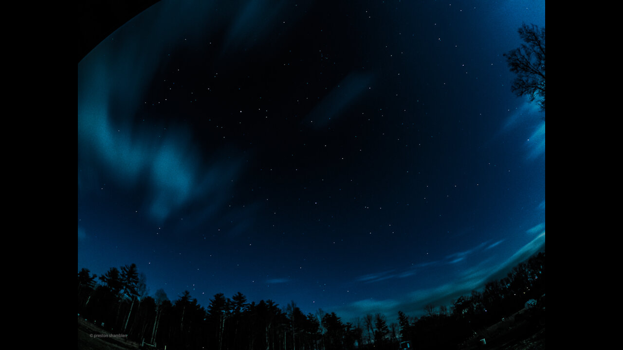 Edge Of Forest Day and Night Lapse 5K