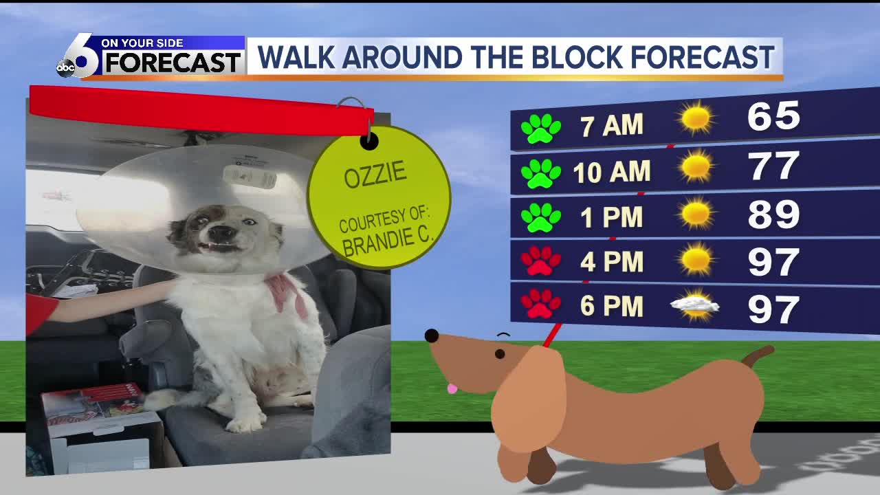 Funny Walk Around the Block forecast