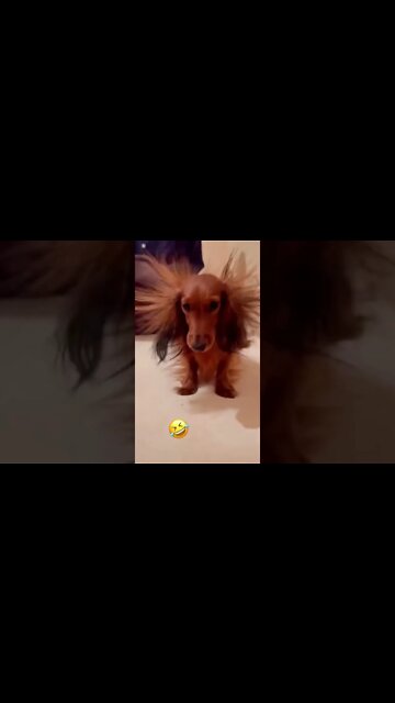 GUESS WHAT HAPPENED?