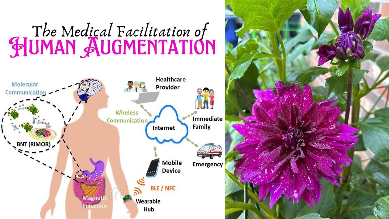 Medical Facilitation of Human Augmentation 2/4