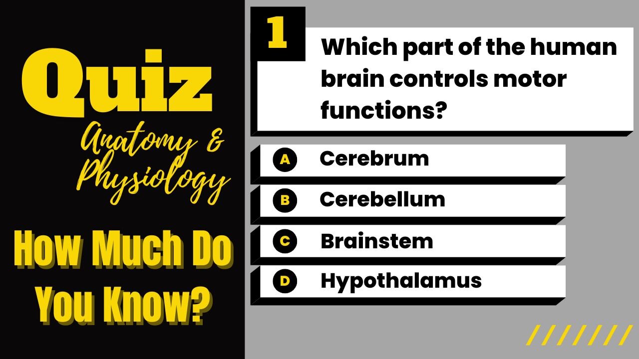 Can You Pass This Human Body Quiz? | Anatomy And Physiology Quiz | 30 Questions