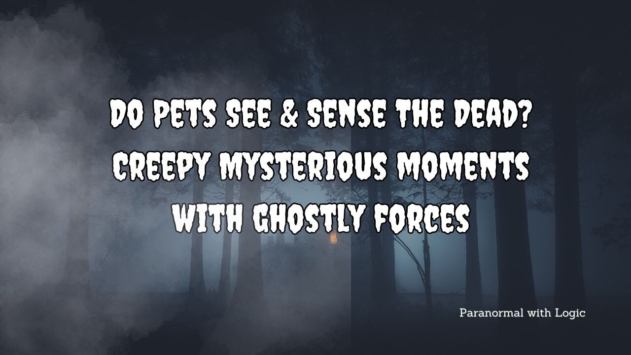 Do Pets See & Sense the Dead Mysterious moments by ghostly forces.