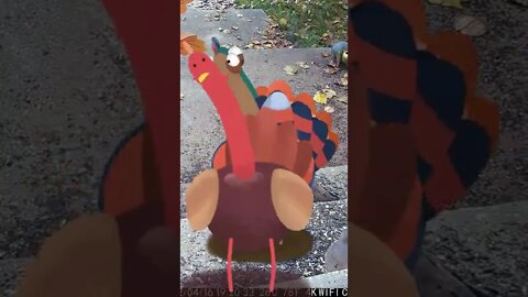 The Dancing Turkeys Visit #Shorts 😎