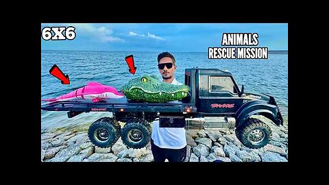 RC Water Animals Rescue Mission With Traxxas Ultimate Truck - Chatpat toy TV