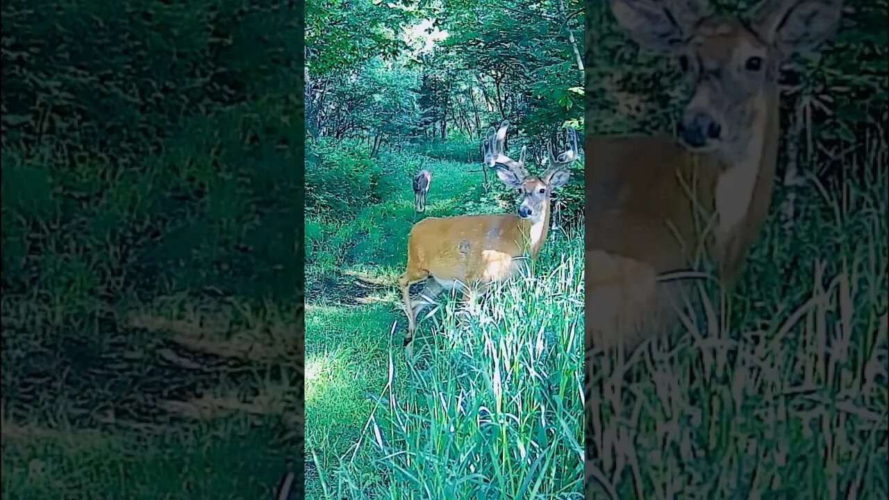 This STUD Showed Up AGAIN!!!