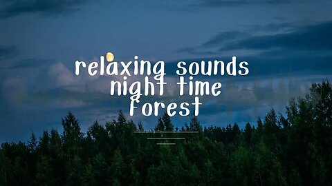 Nighttime forest sounds for sleeping