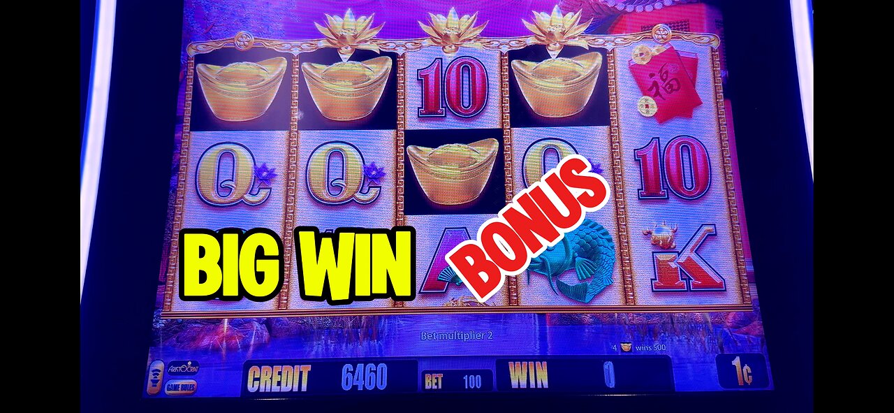 Fortune King Gold Slot Machine Bonus 🦜Big Win 🦜