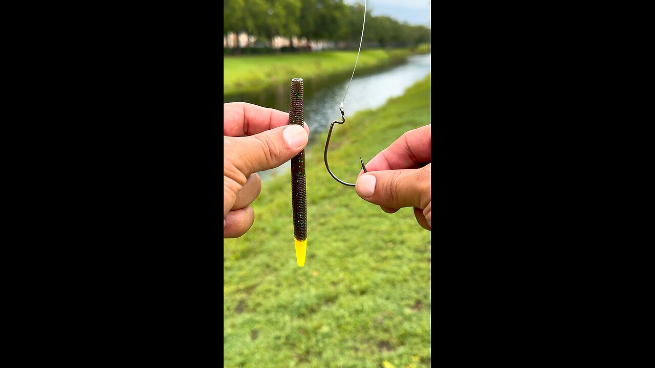 How to rig rig a worm for beginners!