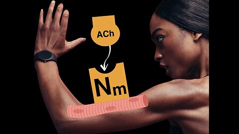 Nicotinic cholinergic receptors