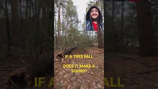 If A Tree Falls #tree #forest #shorts