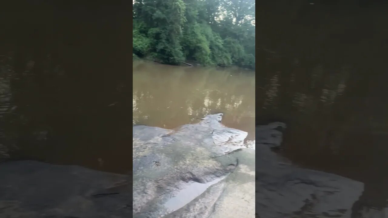 Good morning and happy Saturday! Fishing at the creek. #fishing #outdoors #nature
