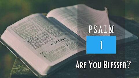 Psalm 1; Are you blessed?