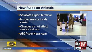 Sarasota airport adds restrictions for non-service animals inside the terminal