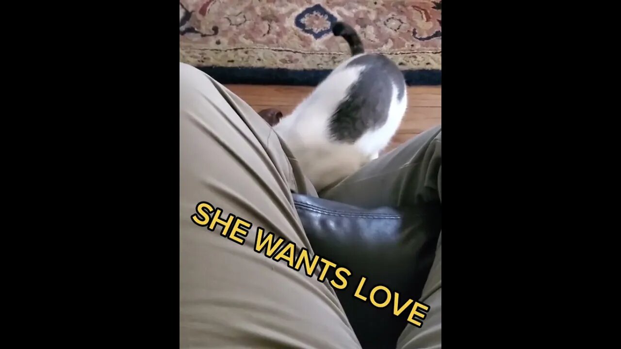 she wants love