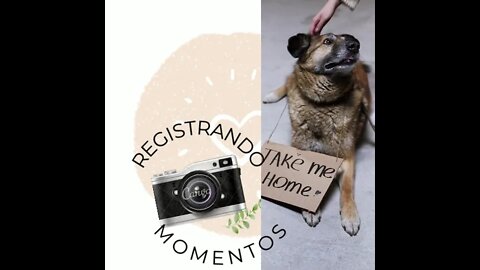 registrando momentos camera Logotipo