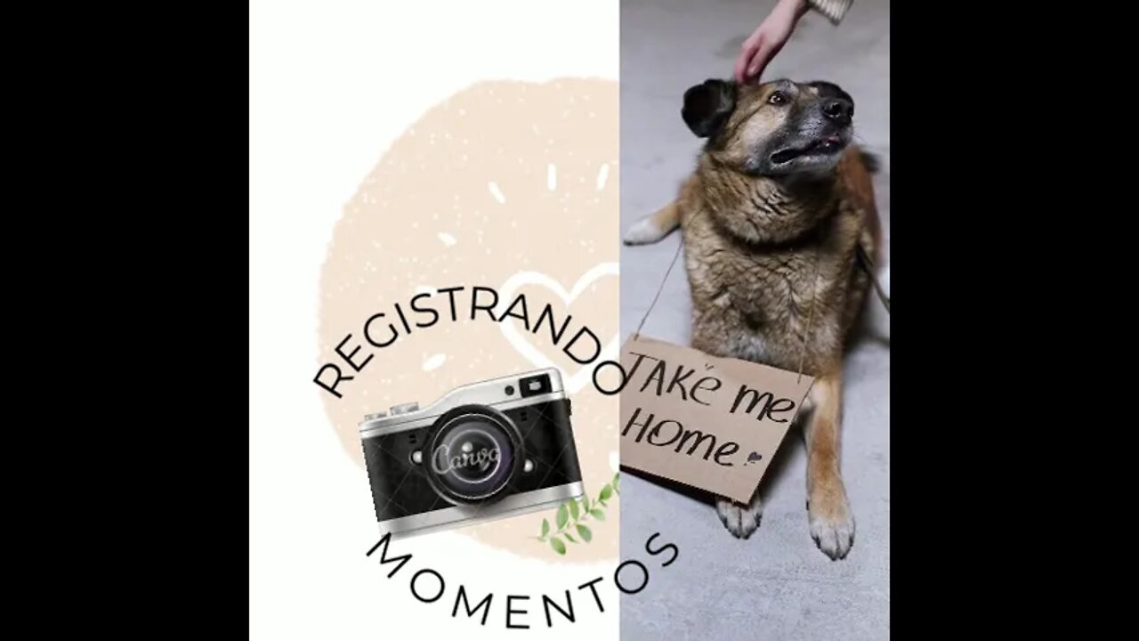 registrando momentos camera Logotipo