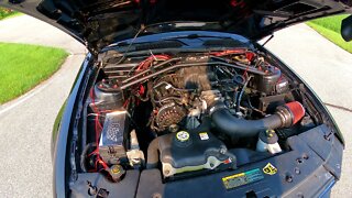 2008 v6 S197 Little Mustang
