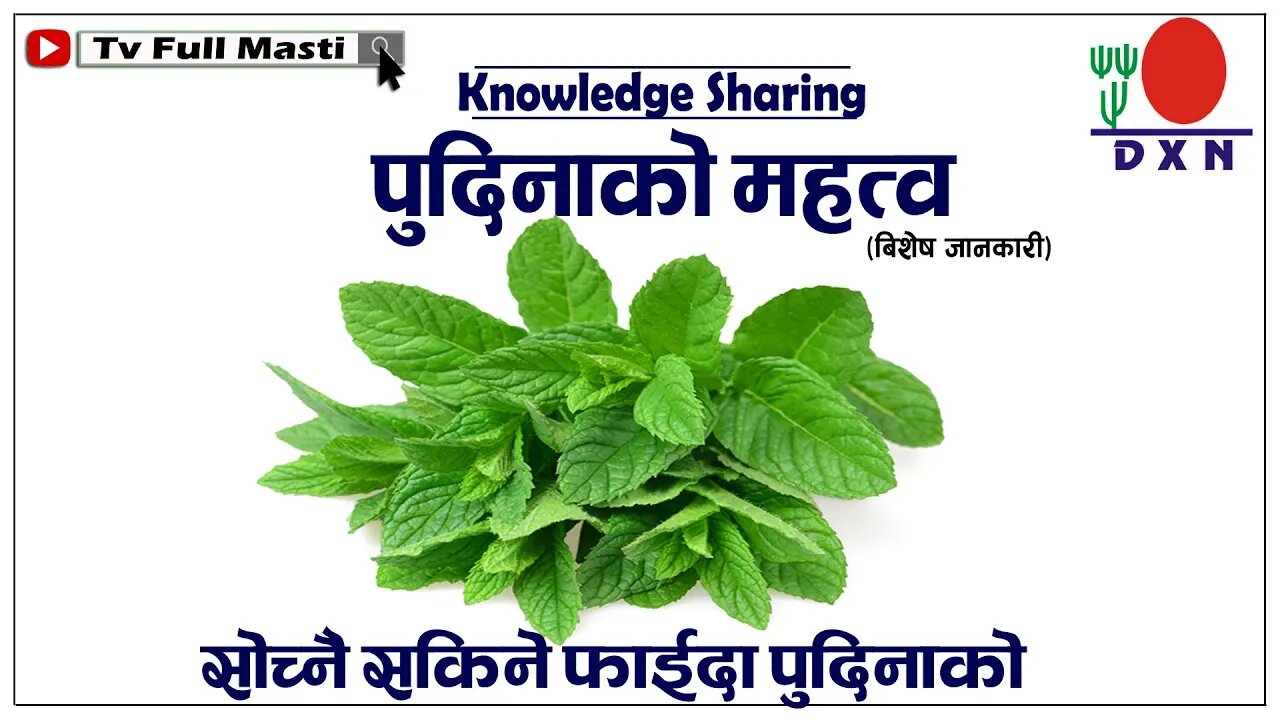 पुदिनाको फाईदा यस्तो छ ll पुदिनाको महत्व बारेमा बिशेष भिडियो ll भान्सा औषाद्यालय बन्नु पर्छ !!!