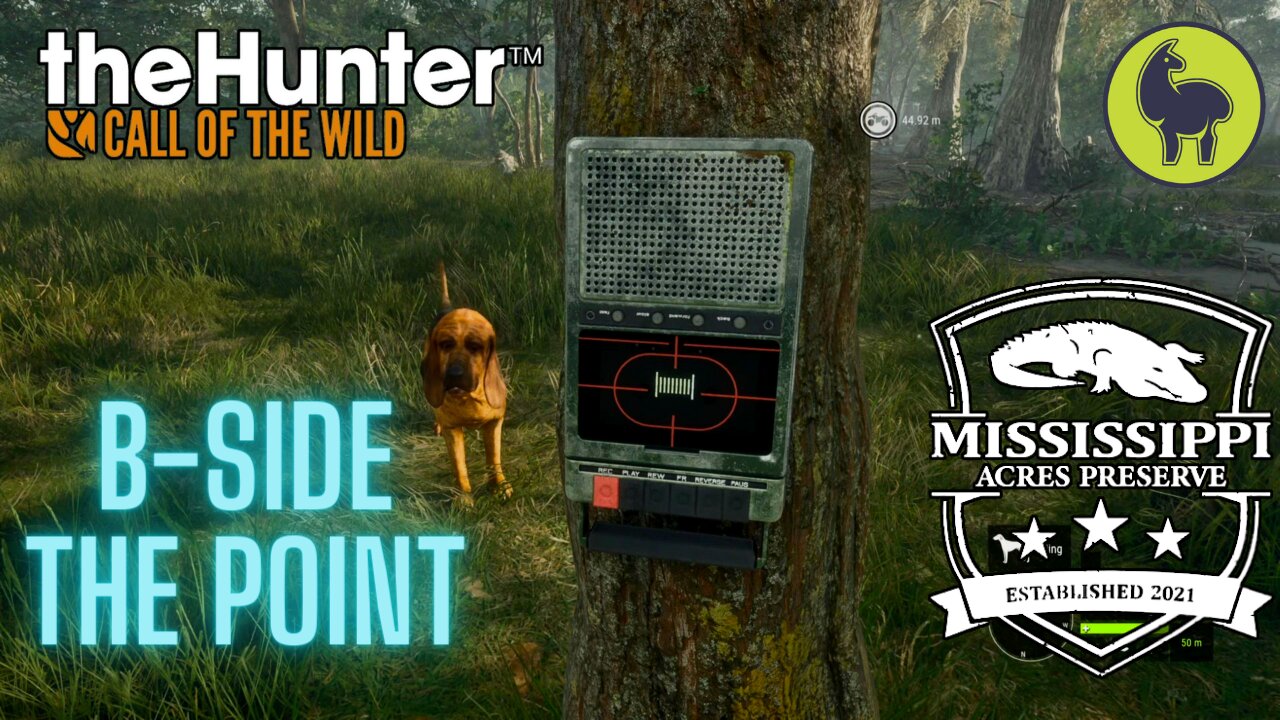 The Hunter: Call of the Wild, B-Side the Point, Mississippi Acres (PS5 4K)