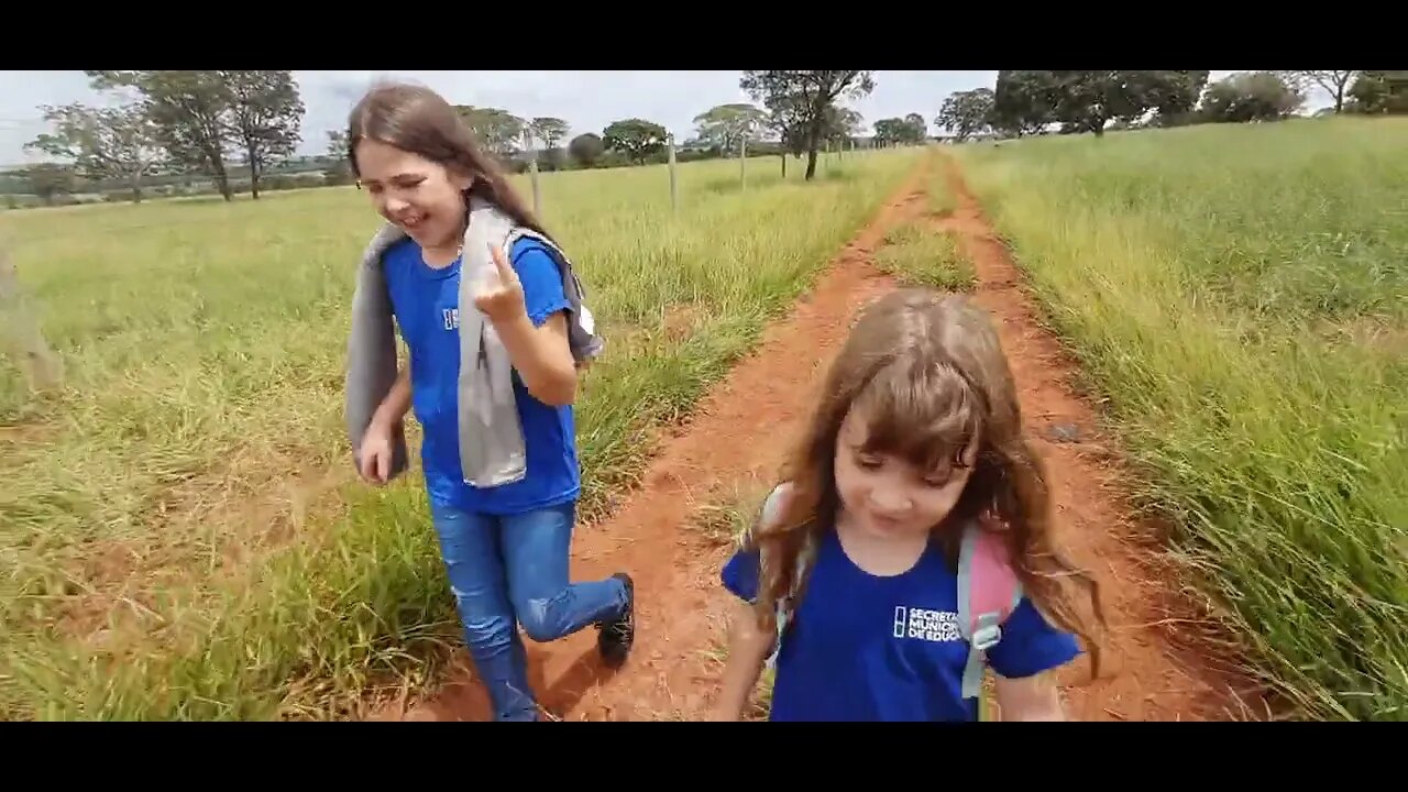 O bicho comeu a cama e o guarda roupa