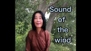 Sound of the wind