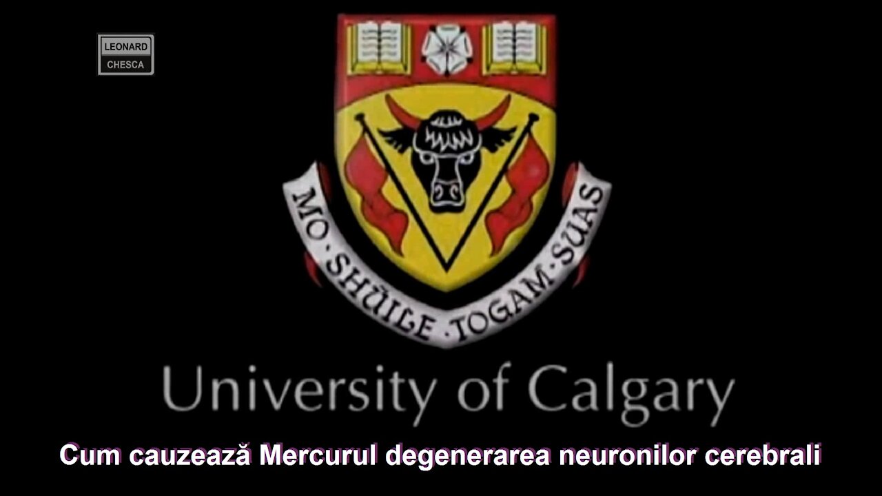 Cum provoacă Mercurul leziuni ale neuronilor creierului - Universitatea din Calgary.