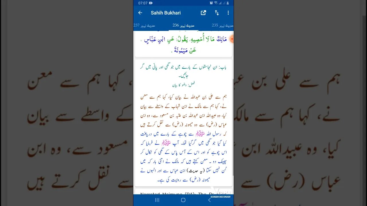 Hadees SHARIF Sahi bukhari SHARIF hadees number #236 in arbic urdu and English language