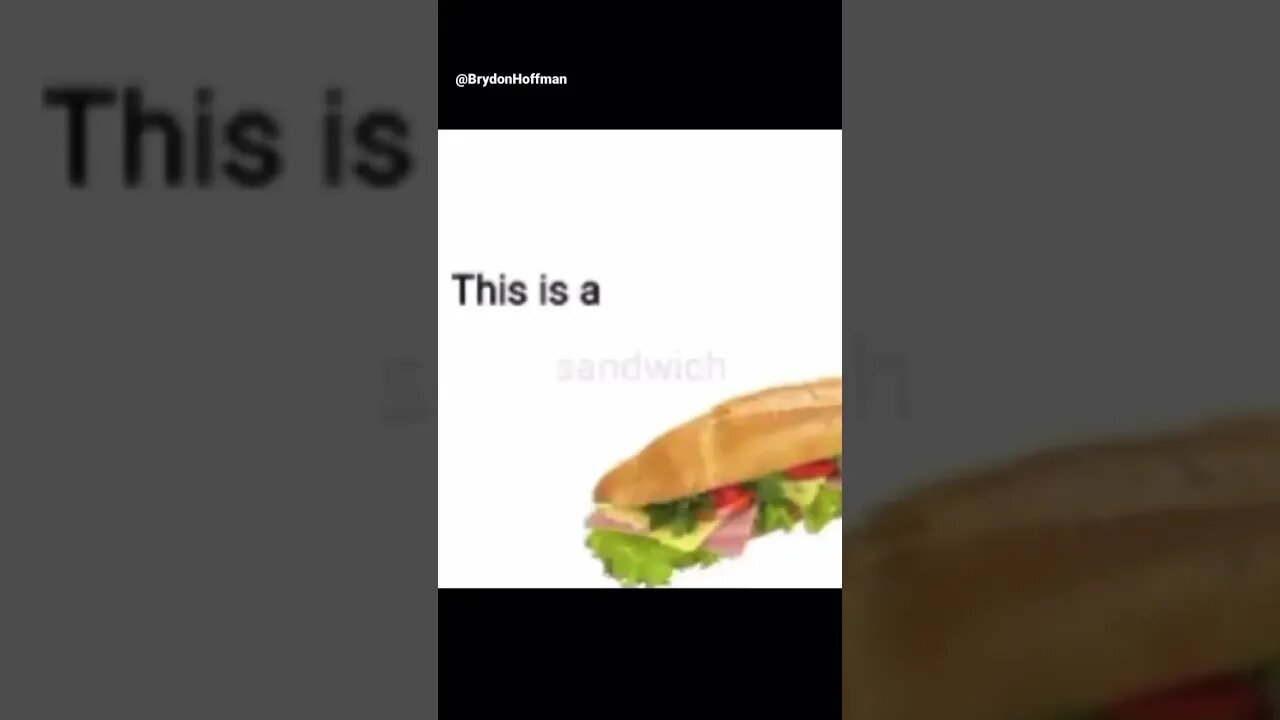 Funny Cat Meme 😂 pt.20 #shorts