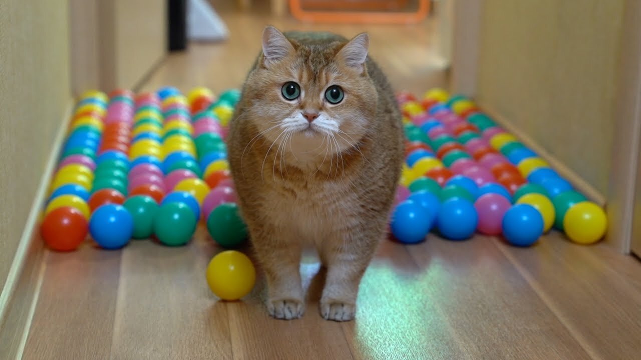 Colorful balls