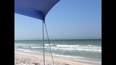 Playing with my Bichon puppy at Boca Grande Beach