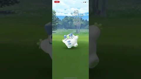 Shiny Galarian Darumaka