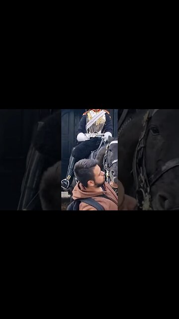 Tourist dodge the teeth #horseguardsparade