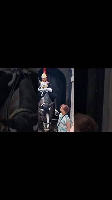 Family tell grandma not to touch the reins #horseguardsparade