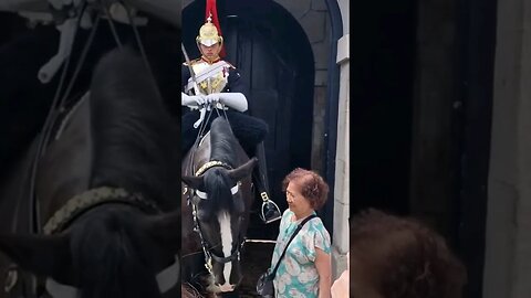 Family tell grandma not to touch the reins #horseguardsparade