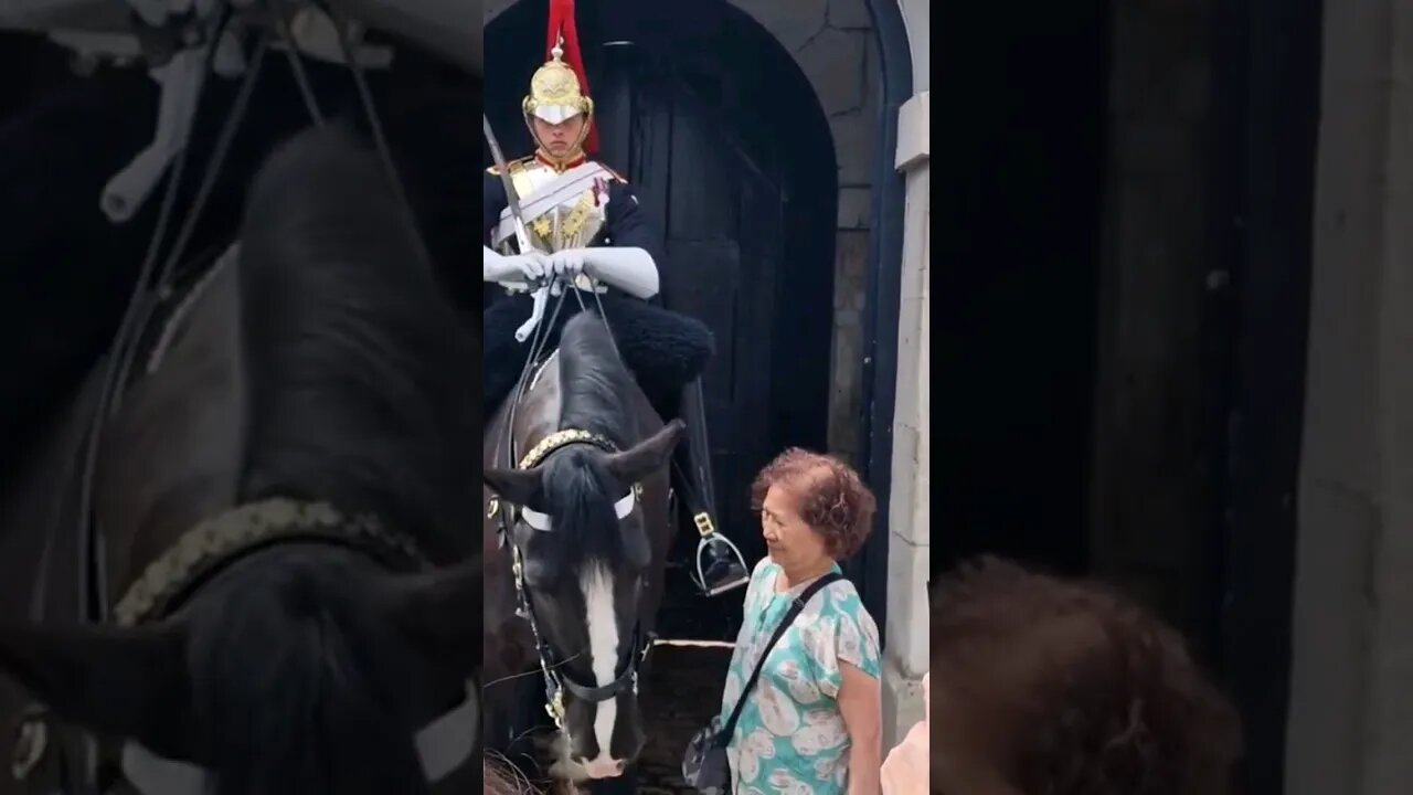 Family tell grandma not to touch the reins #horseguardsparade