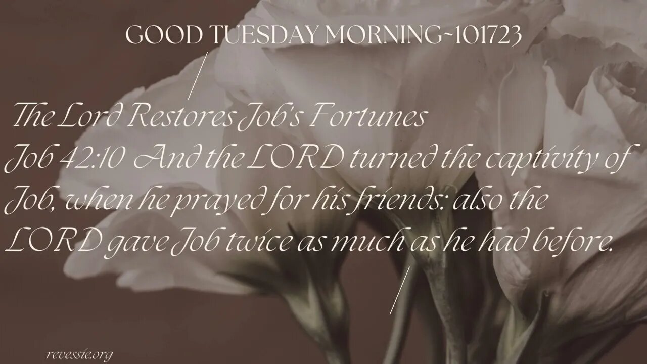 Good Tuesday Morning~101723