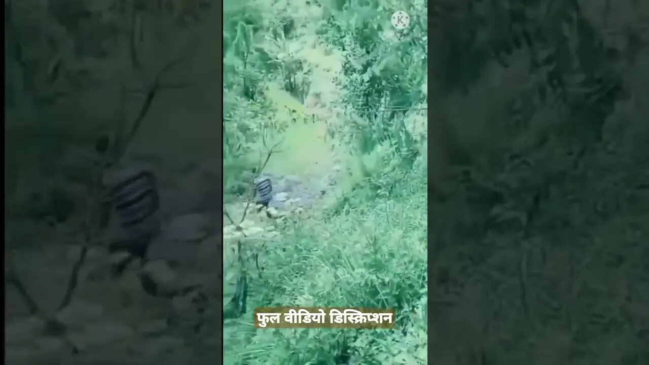 मुर्गे से पंगा लेना पड़ा भारी #short #tiktokviralvideo