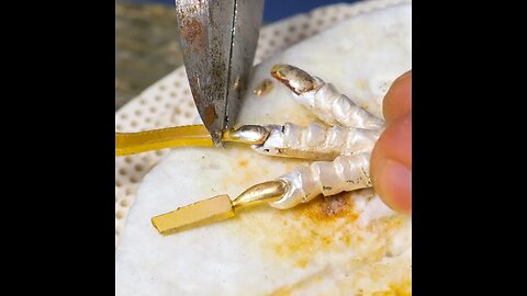 Watch this craftsman make a ring with a dragon's paw! 💍