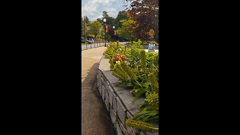 Lake Junaluska | Exploring North Carolina | Relaxing Beauty | Peaceful | God’s Nature | Travel