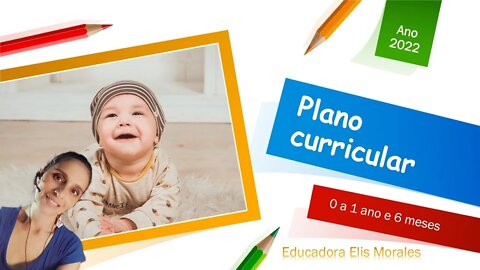 Plano de ensino de 0 a 1 ano e 6 meses - ( parte 1)