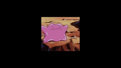 Top 10 Ditto Card Art Ranking!