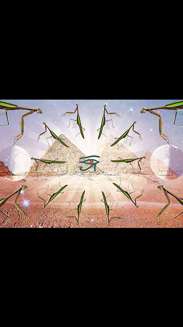 3 Quotes to Positively Impact Your Day