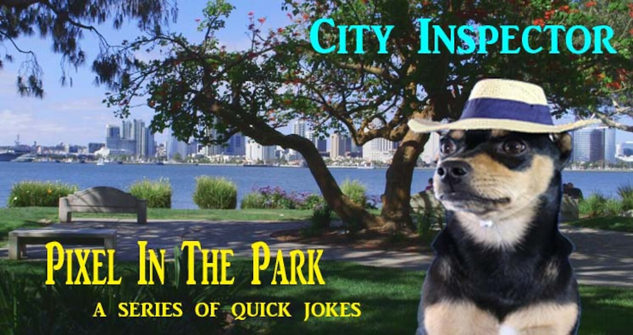 Pixel In The park...City Inspector