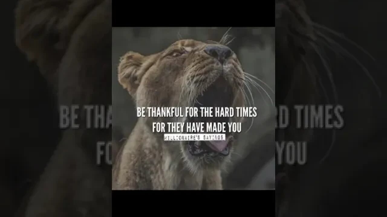 Daily Inspirational Quotes