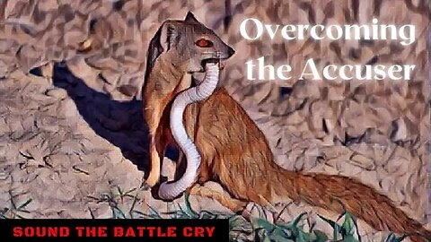 Overcoming the Accuser (Strategies for the Remnant Enduring the Wrath of the Serpent)