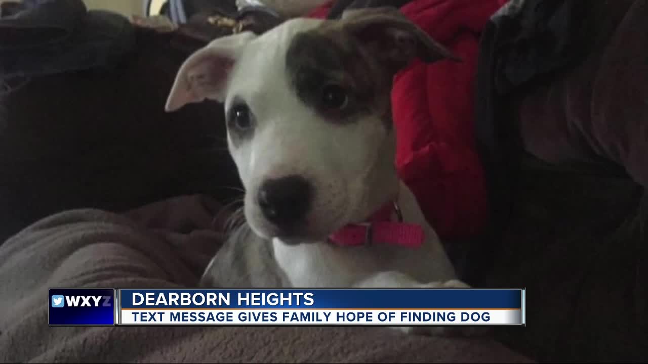 Dearborn Heights family hopeful after receiving chilling text message about their missing dog